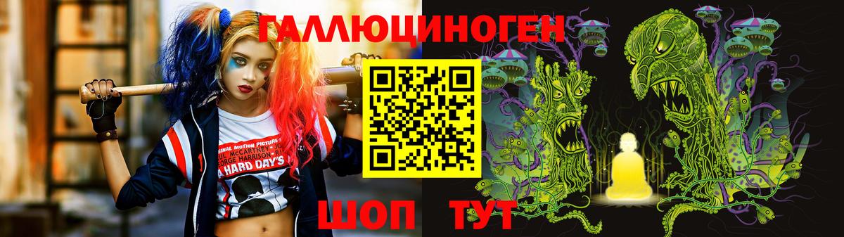 Псилоцибиновые грибы Psilocybine cubensis Дятьково