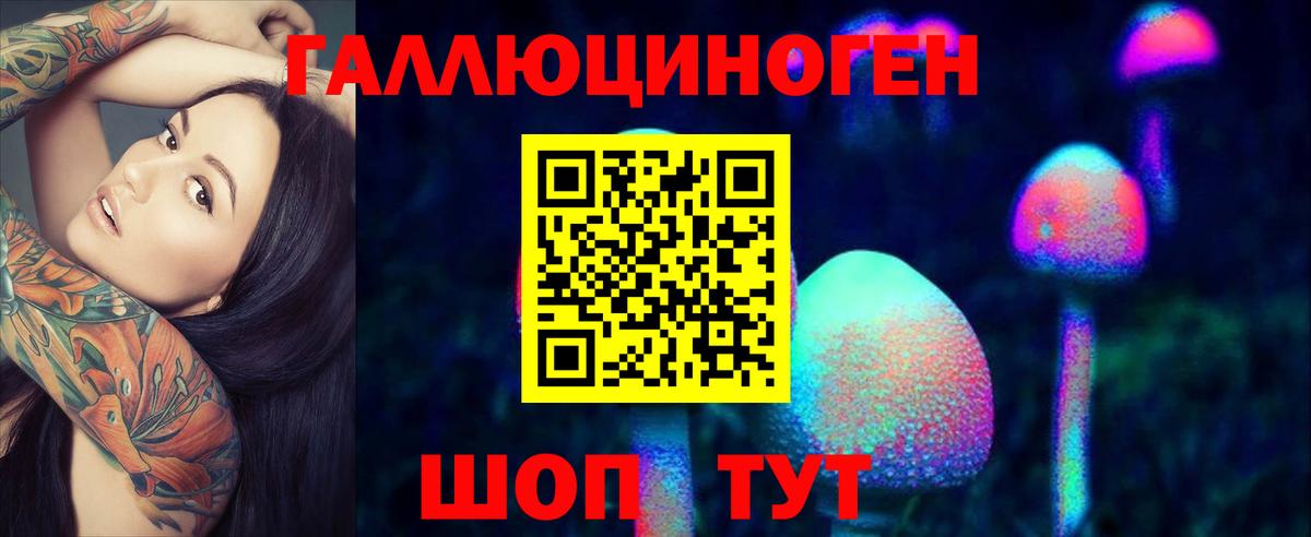 Псилоцибиновые грибы Cubensis  магазин продажи наркотиков  Галлюциногенные грибы Magic Shrooms  Дятьково  Вход с VPN 